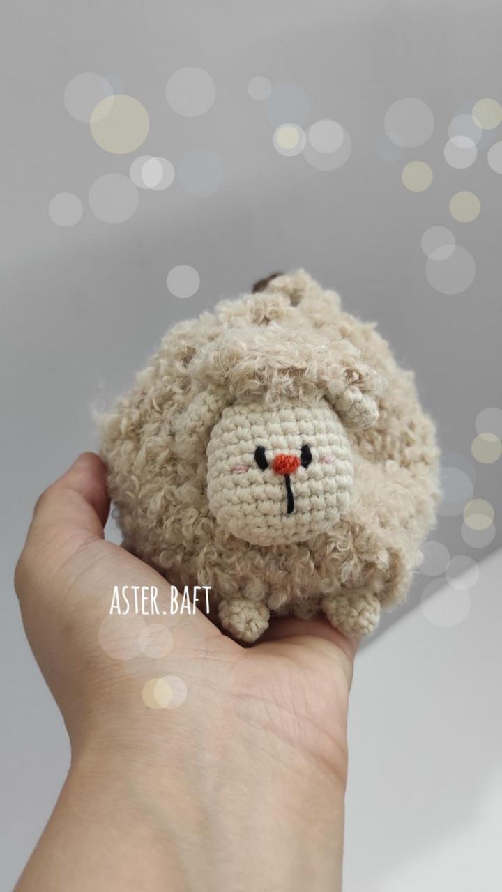 الپاکا بوکله