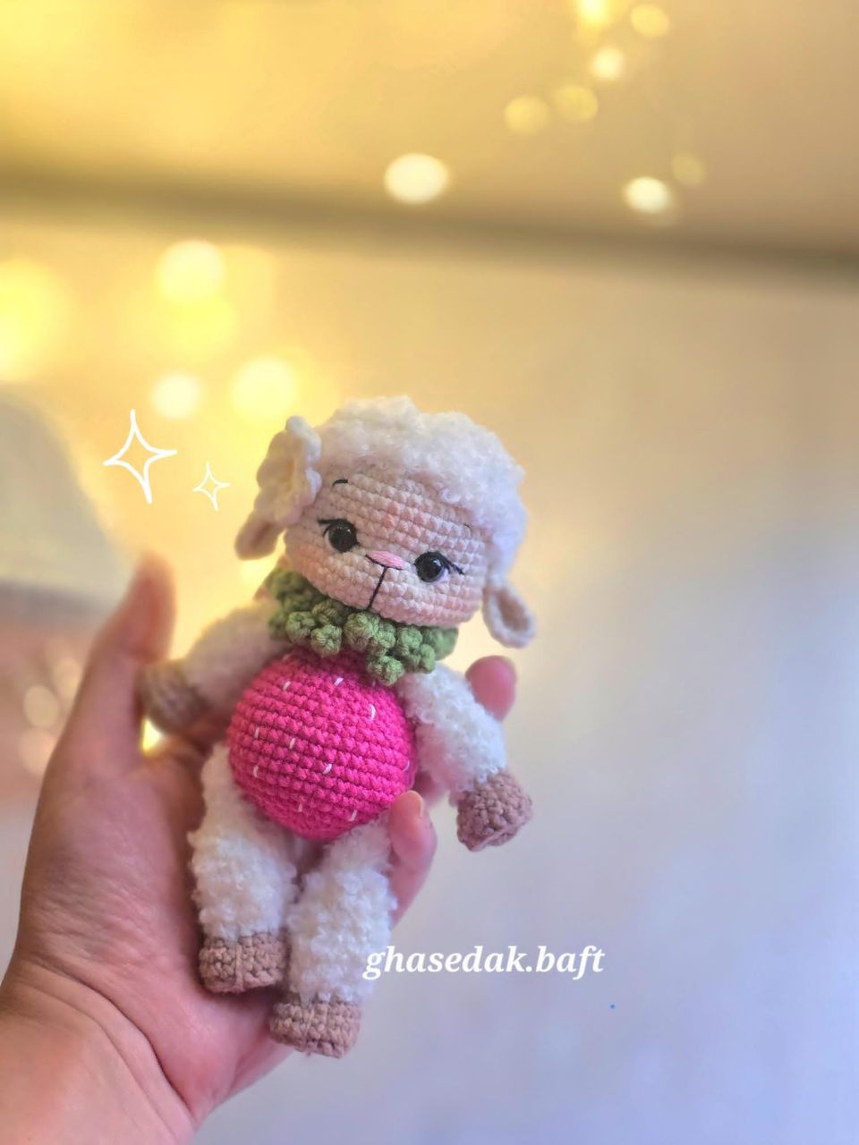 IMG_20241202_015044_034 الپاکا بوکله