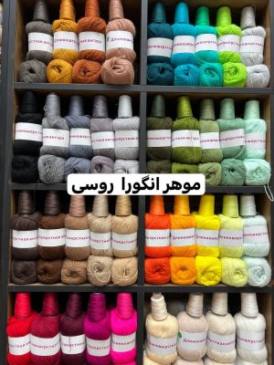 موهر انگورا روسی