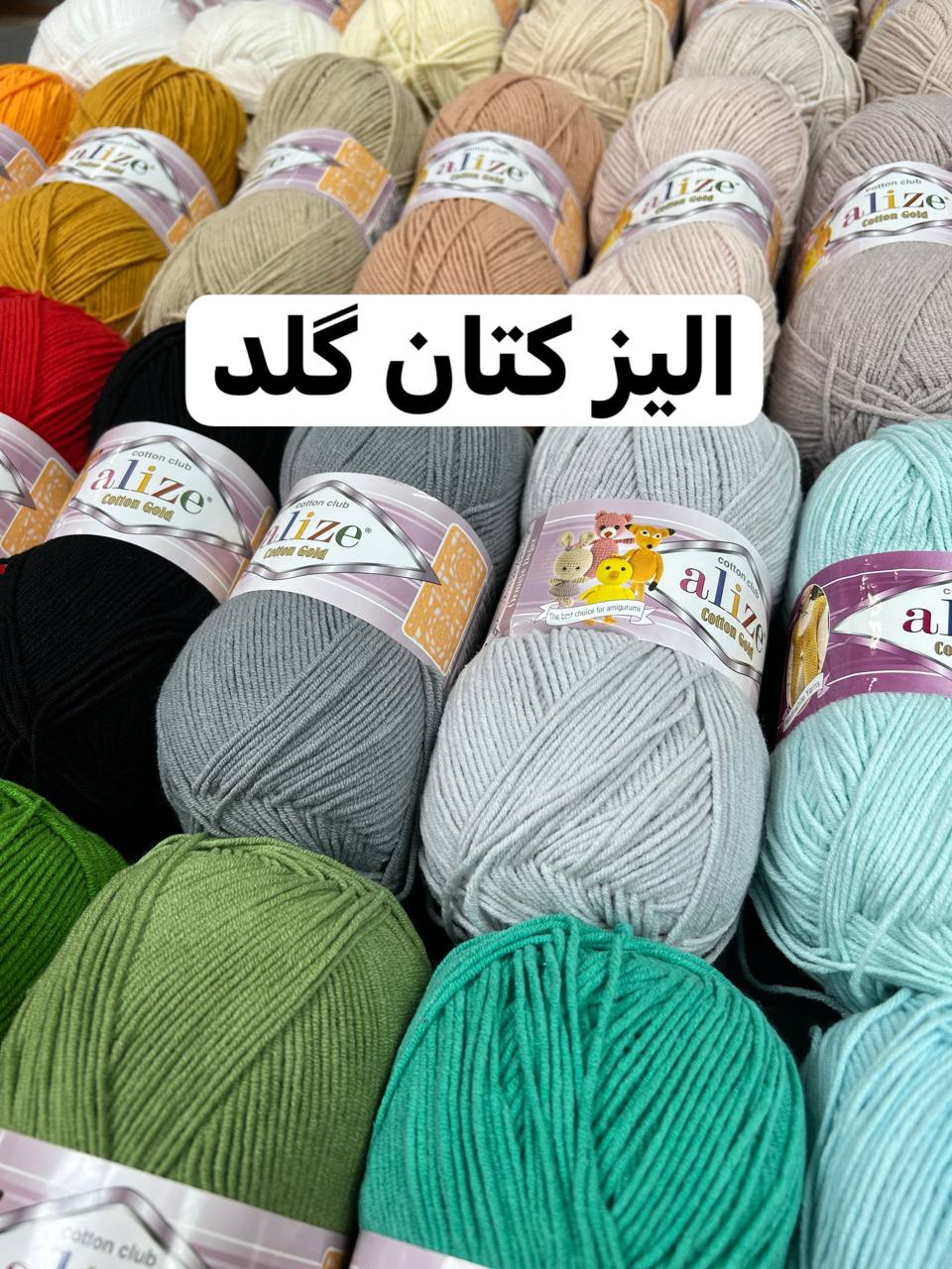 الیز کتان گلد