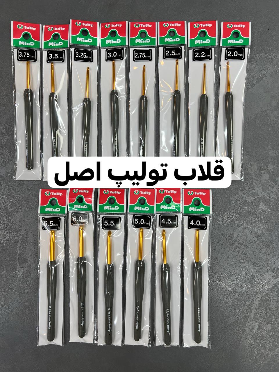 قلاب تولیپ