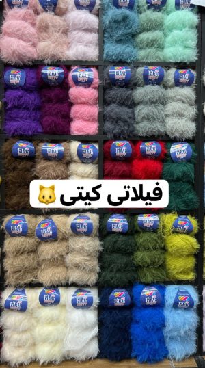 IMG_20251028_172222_428 فیلاتی کیتی