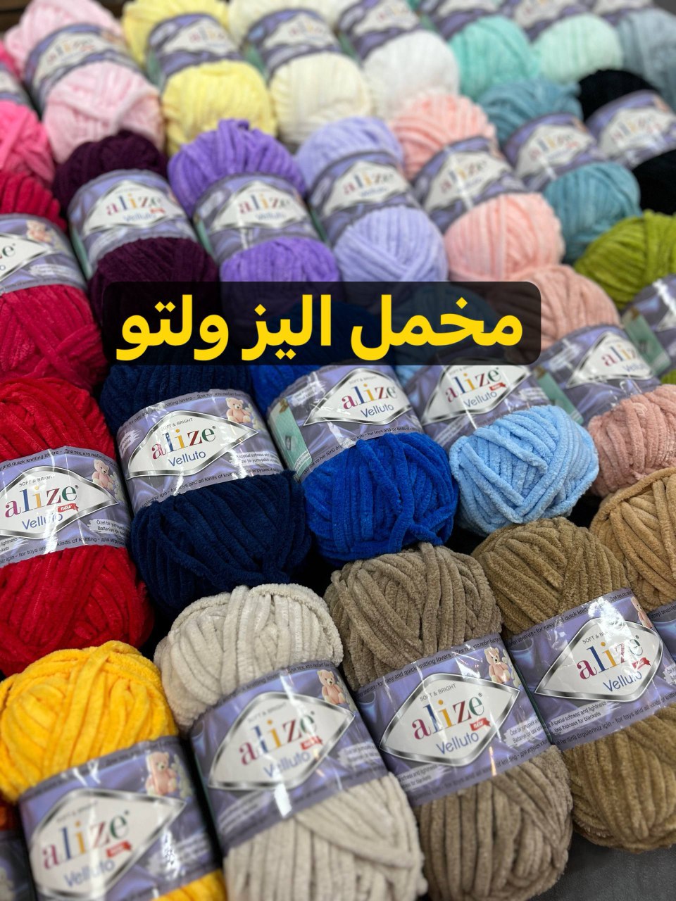 مخمل الیز  ولتو