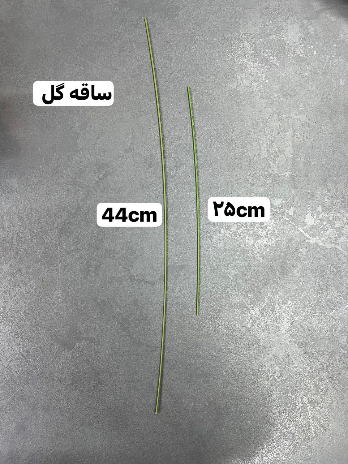 ساقه گل
